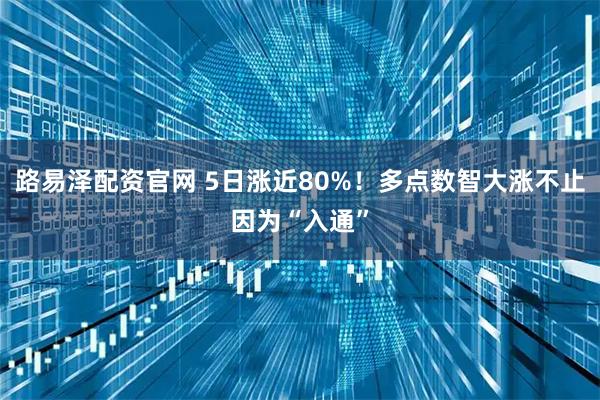 路易泽配资官网 5日涨近80%！多点数智大涨不止因为“入通”