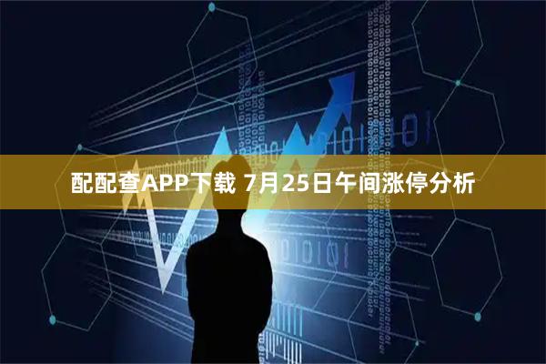 配配查APP下载 7月25日午间涨停分析