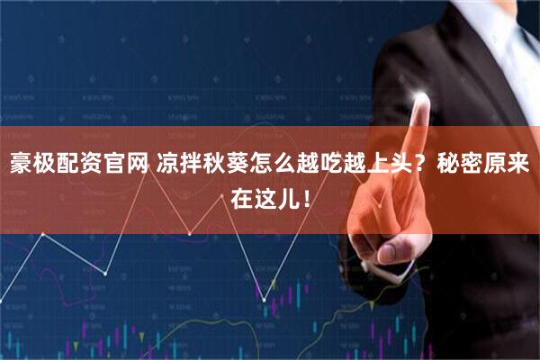 豪极配资官网 凉拌秋葵怎么越吃越上头？秘密原来在这儿！