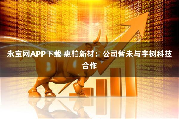 永宝网APP下载 惠柏新材：公司暂未与宇树科技合作