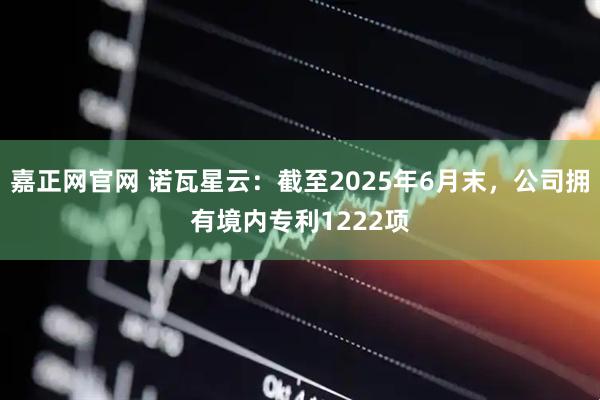 嘉正网官网 诺瓦星云：截至2025年6月末，公司拥有境内专利1222项